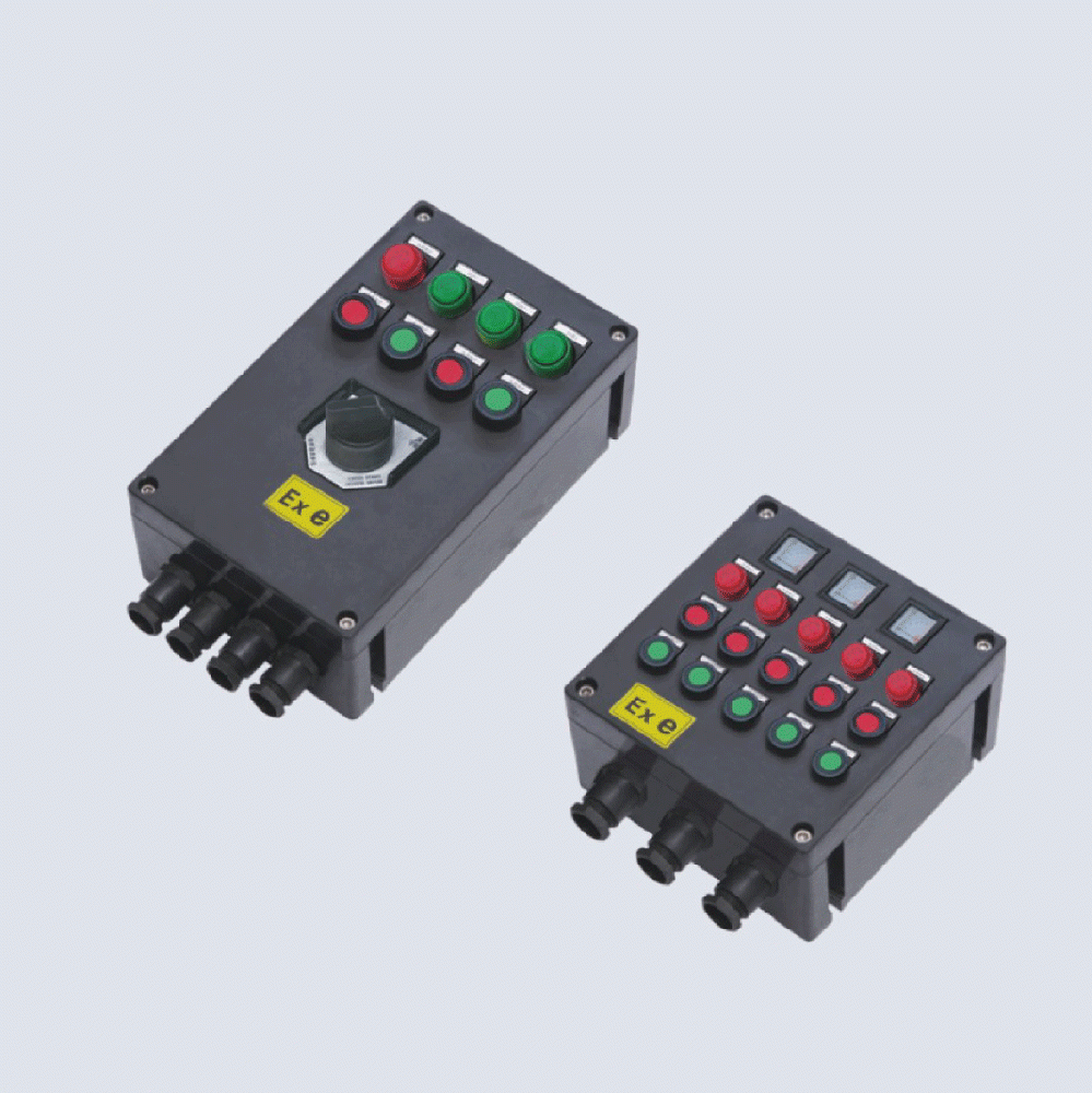 BXK8050-系列防爆防腐控制箱(IIC、 ExtD)