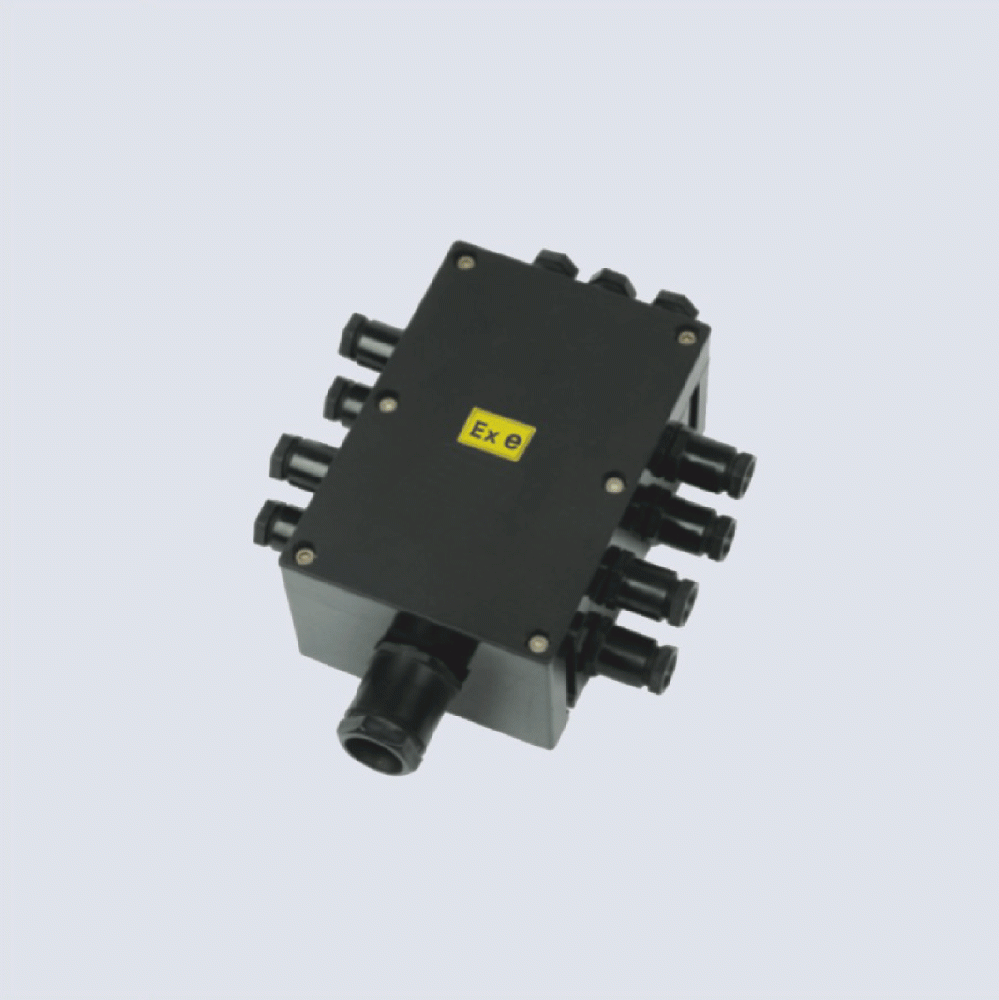 BJX8050系列防爆防腐接線箱(II C、 ExtD)