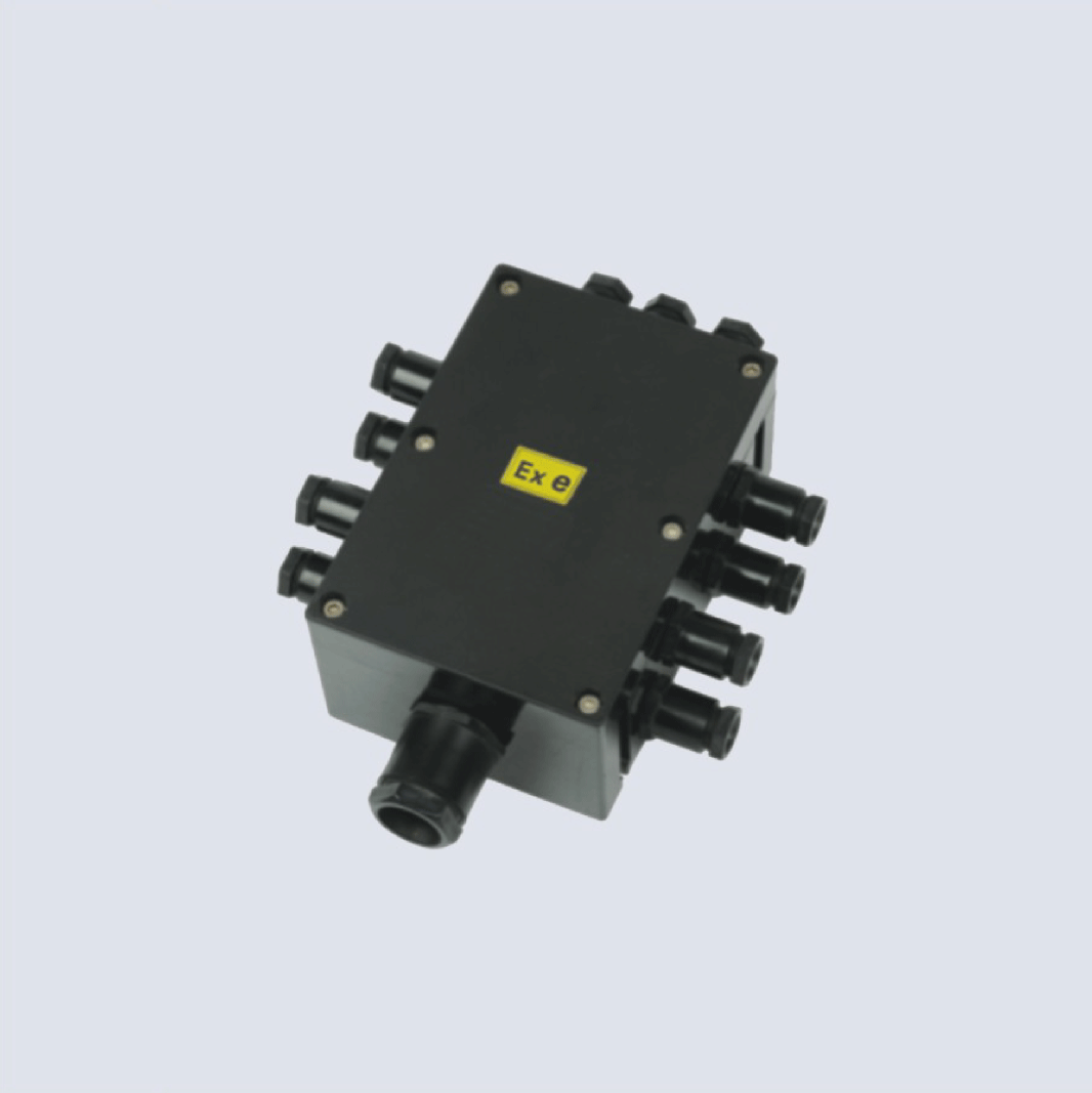 BJX8050系列防爆防腐接線箱(II C、 ExtD)